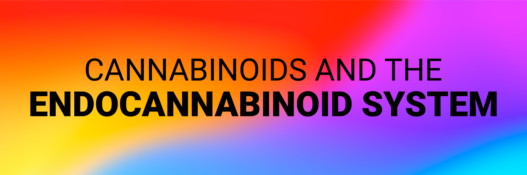 Cannabinoids and the Endocannabinoid System Dispensary 33